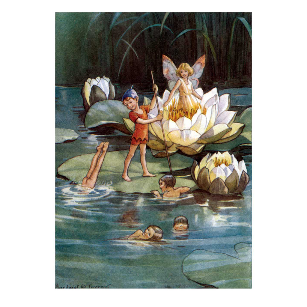 Fairies and Waterlilies - Fairies Greeting Card