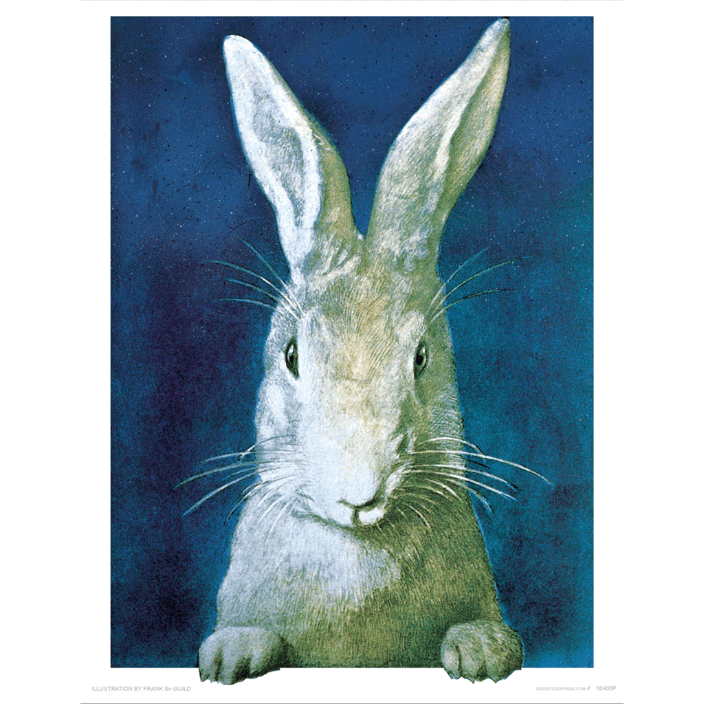 Rabbit Looking - Animal Friends Art Print