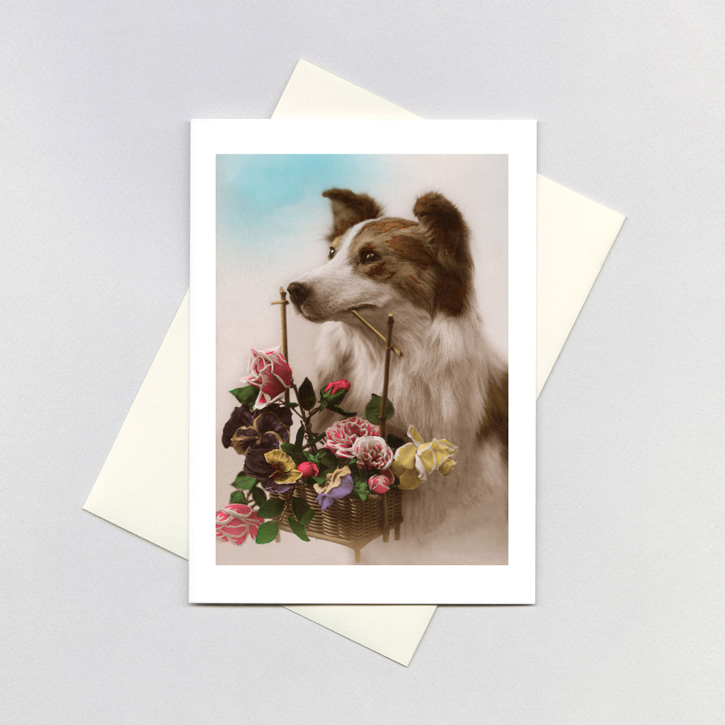 Dog with Flower Basket - Delightful Dogs Greeting Card