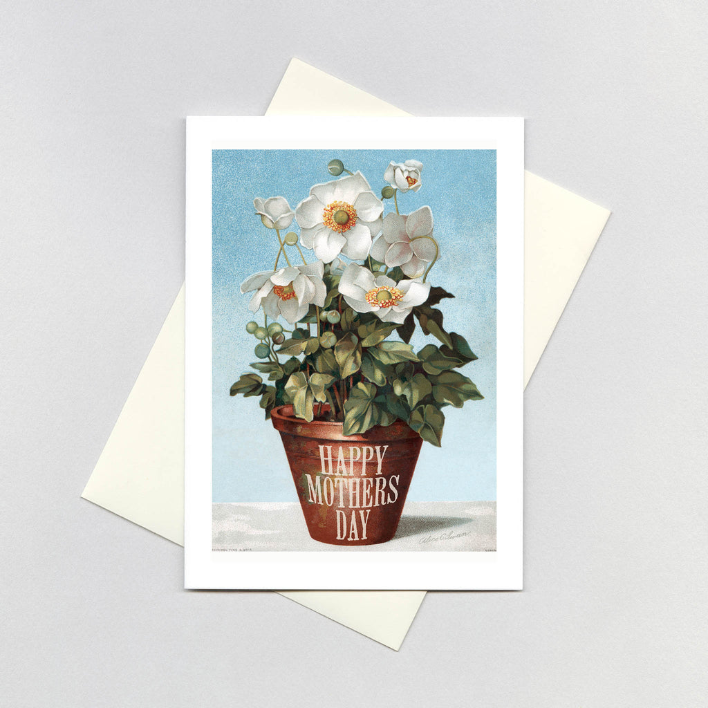 Potted White Flowers - Mother's Day Greeting Card