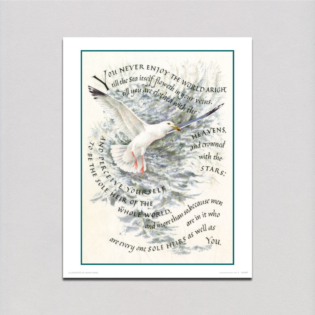 Marie Angel Seagull - Encouragement Art Print