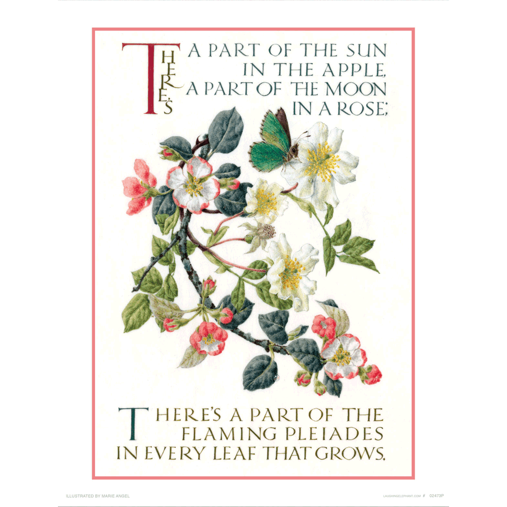 Marie Angel Apple Blossom - Encouragement Art Print