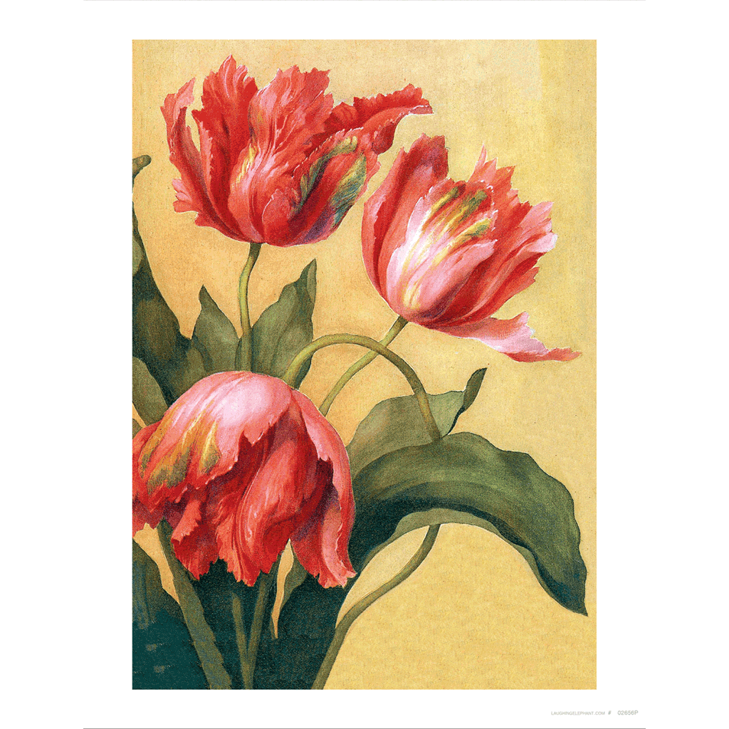 Tulips - Flowers Art Print