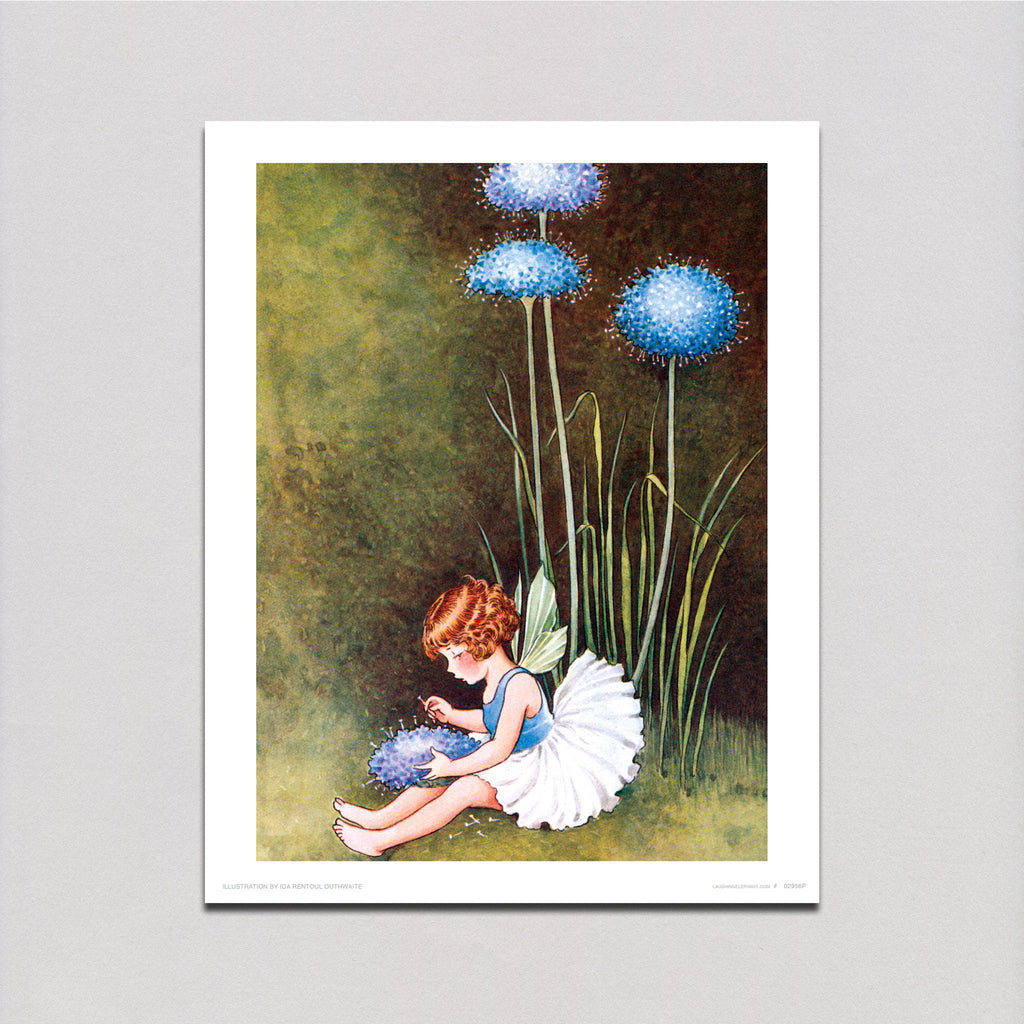 Pincushion Flower Fairy - Fairies Art Print