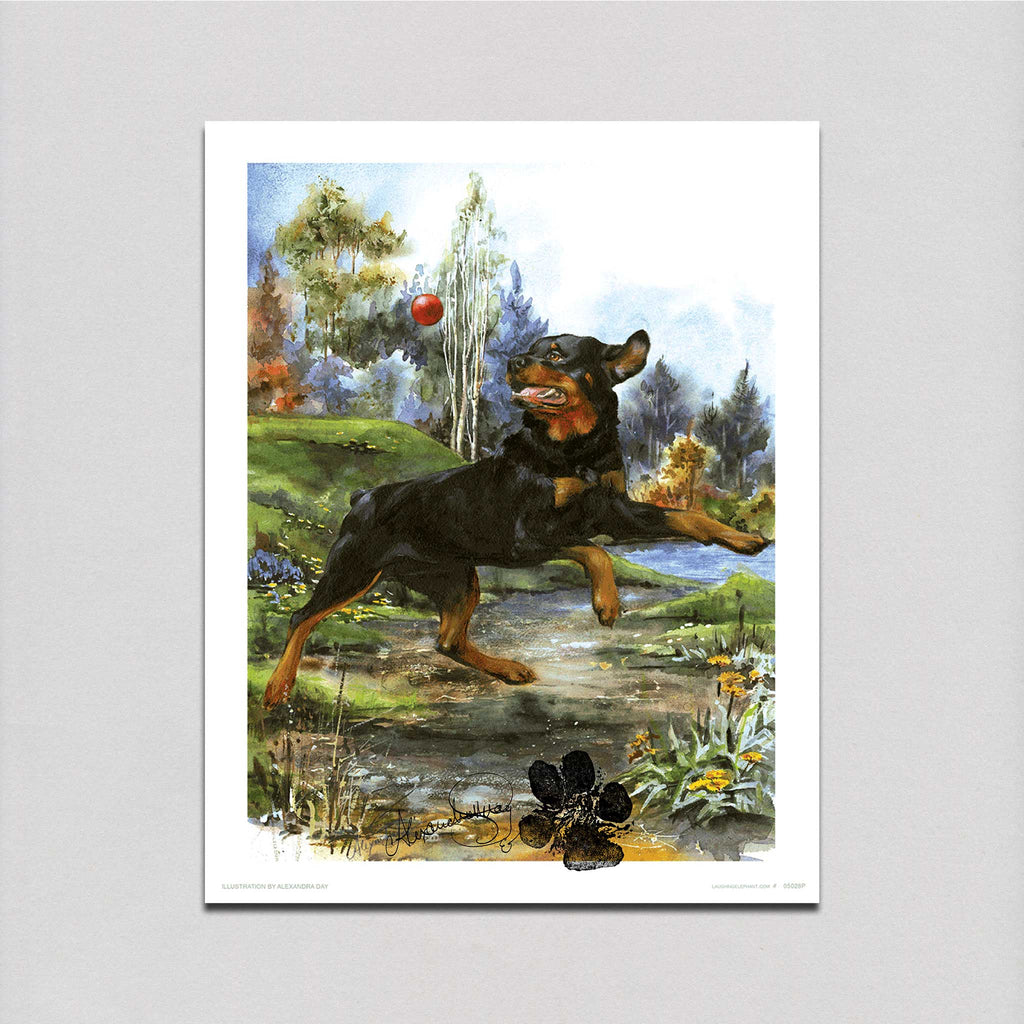 Carl Catching Ball - Good Dog, Carl Art Print (Signed)