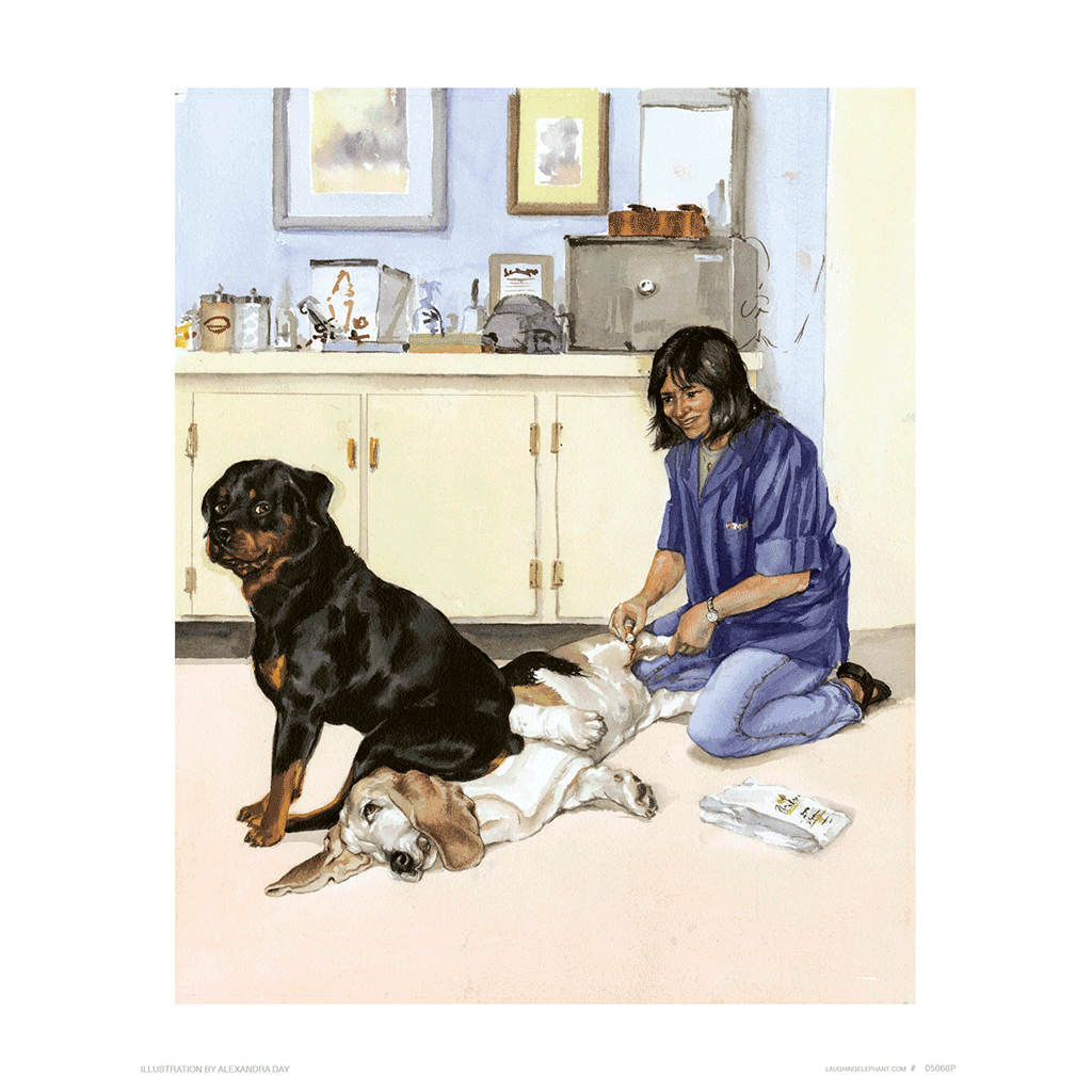 Carl on a Basset Hound - Good Dog, Carl Art Print
