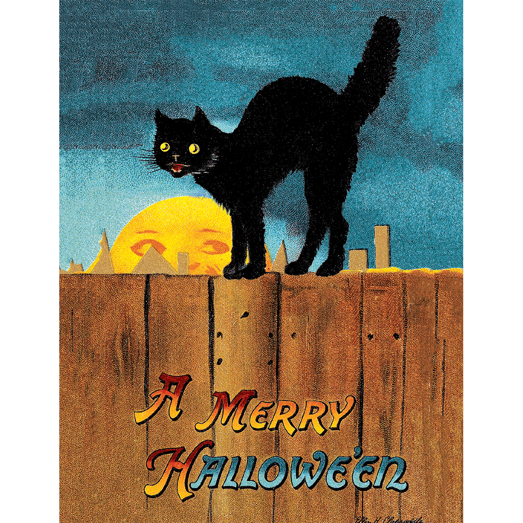 Black Cat on a Fence - Boxed Halloween Greeting Cards