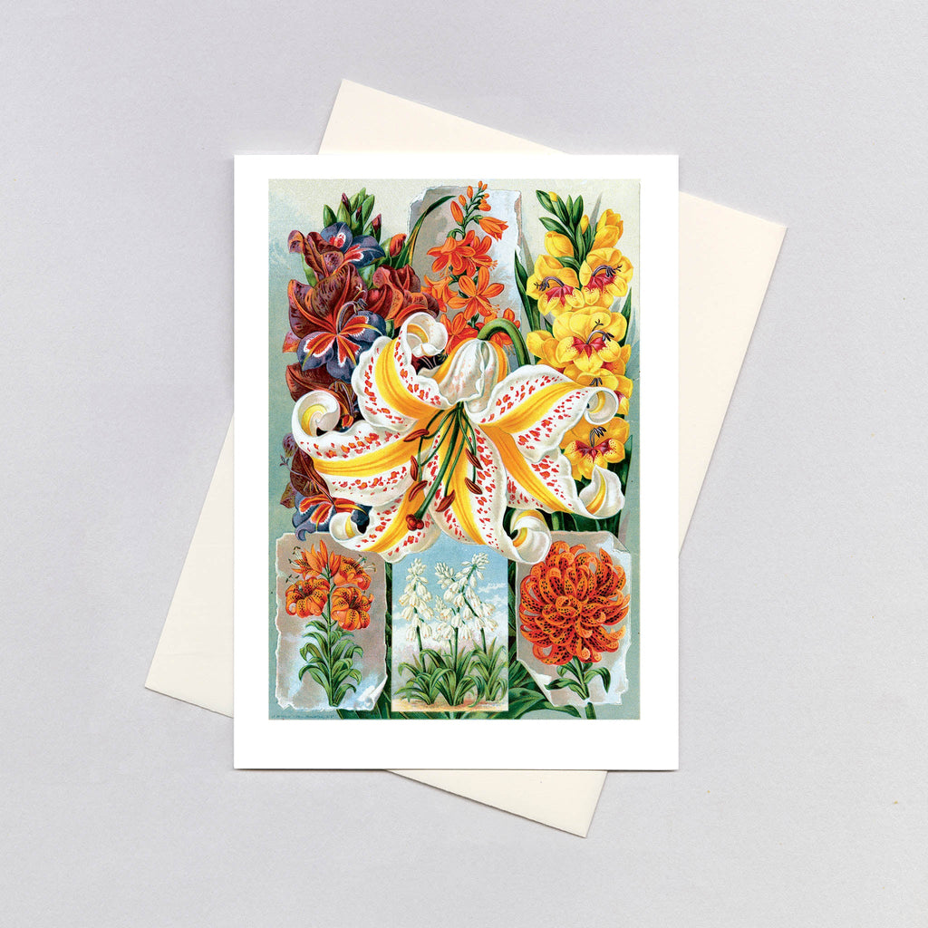 Lilies - Flowers Greeting Card