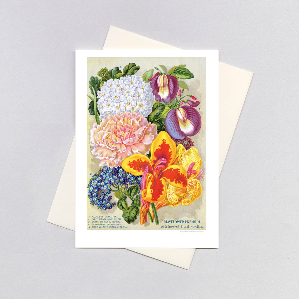 Five Floral Novelties - Flowers Greeting Card