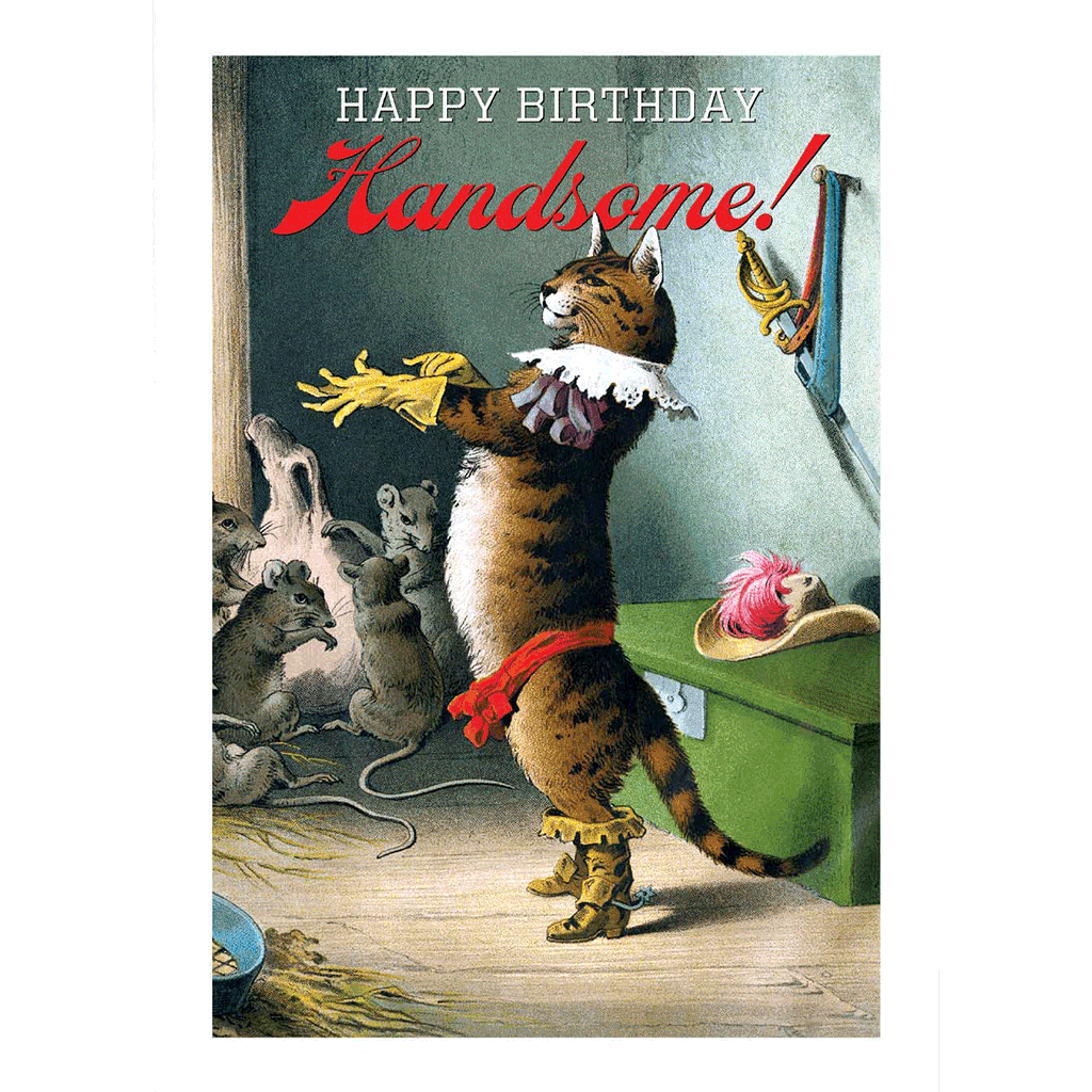 Cat Putting on a Glove - Birthday Greeting Card