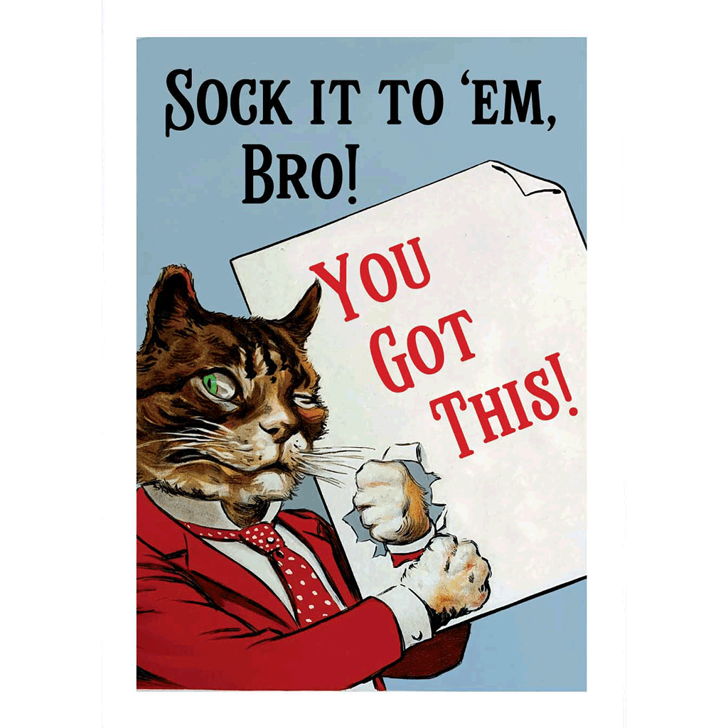 Cat Punching a Sign  - Encouragement Greeting Card