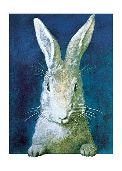 Rabbit Looking - Birthday Greeting Card