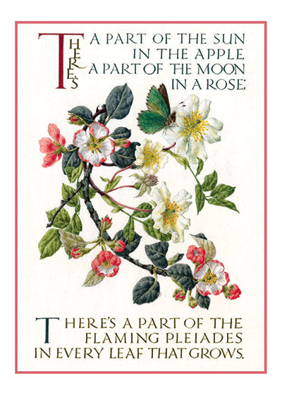 Marie Angel Apple Blossom - Encouragement Greeting Card