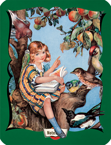 A Girl Sitting in a Tree Reading to Birds - Hello Darling Notebook