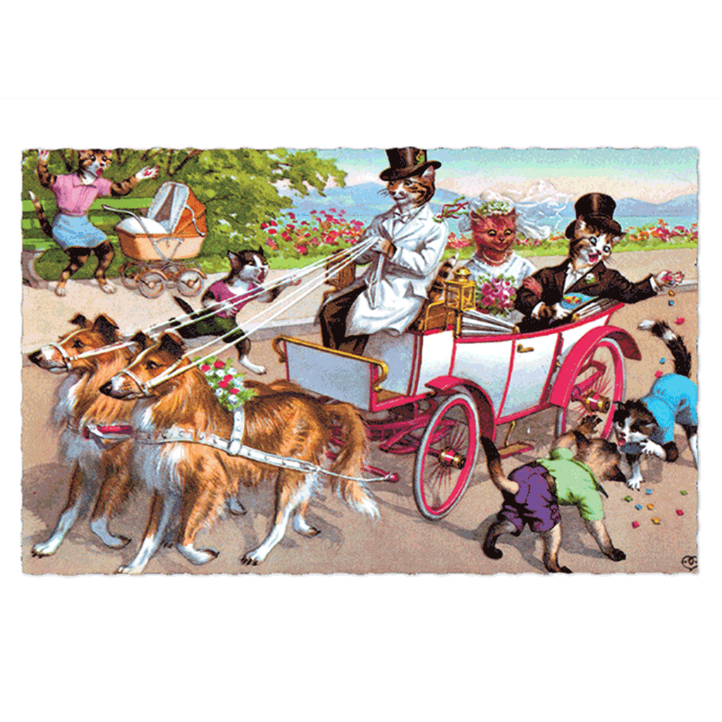 Delightfully Dressed Cats Postcard Box - Everyday Boxed Postcards