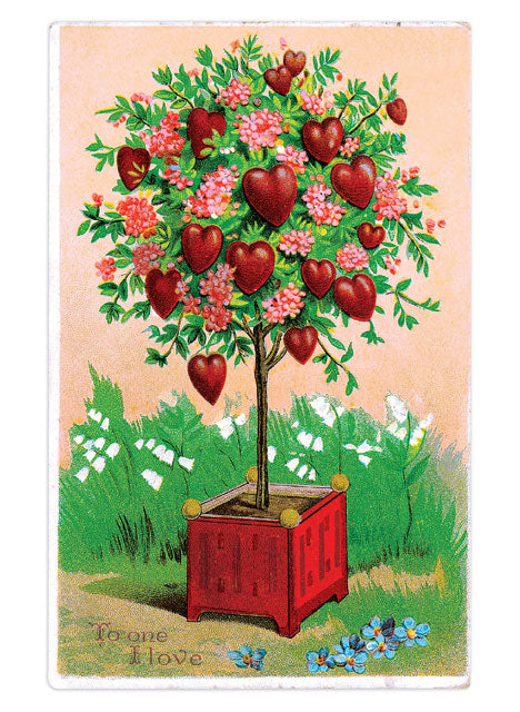 Valentine's Day Postcard Box - 36 Unique Vintage Postcards