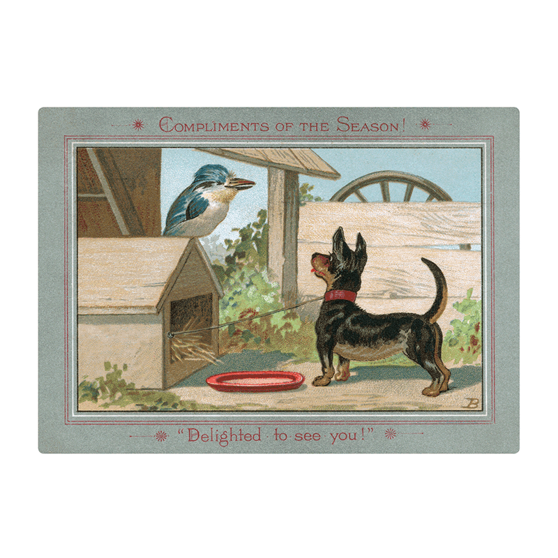 We Wish You a Crazy Christmas Postcard Book - 30 Unique Vintage Postcards