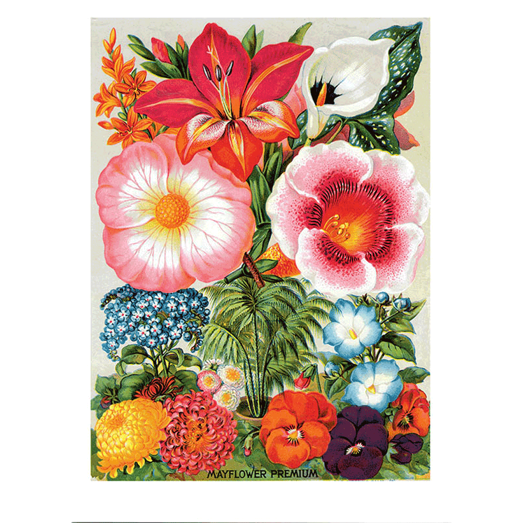 Antique Flowers - Everyday Boxed Greeting Cards
