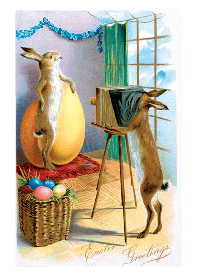 Rabbit Taking Photo - Easter Greeting Card