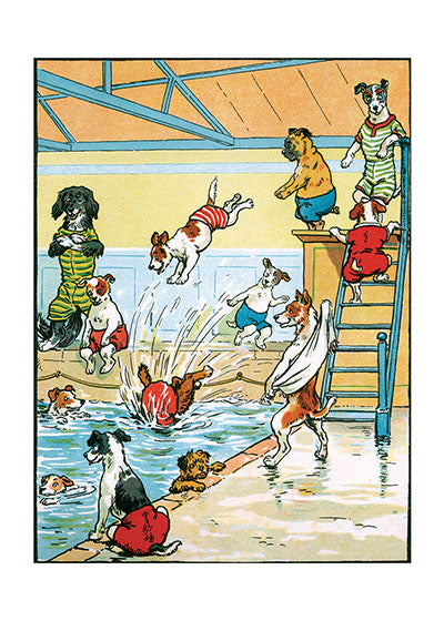 Swim Party! - Delightful Dogs Greeting Card